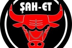 ŞAH-ET-LOGO